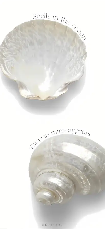 4k海洋壁纸 - 清新 - 简约 - 自然「哲风壁纸」