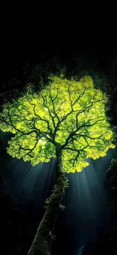 4k光线壁纸 - 树 - 壁纸 - 发光树「哲风壁纸」