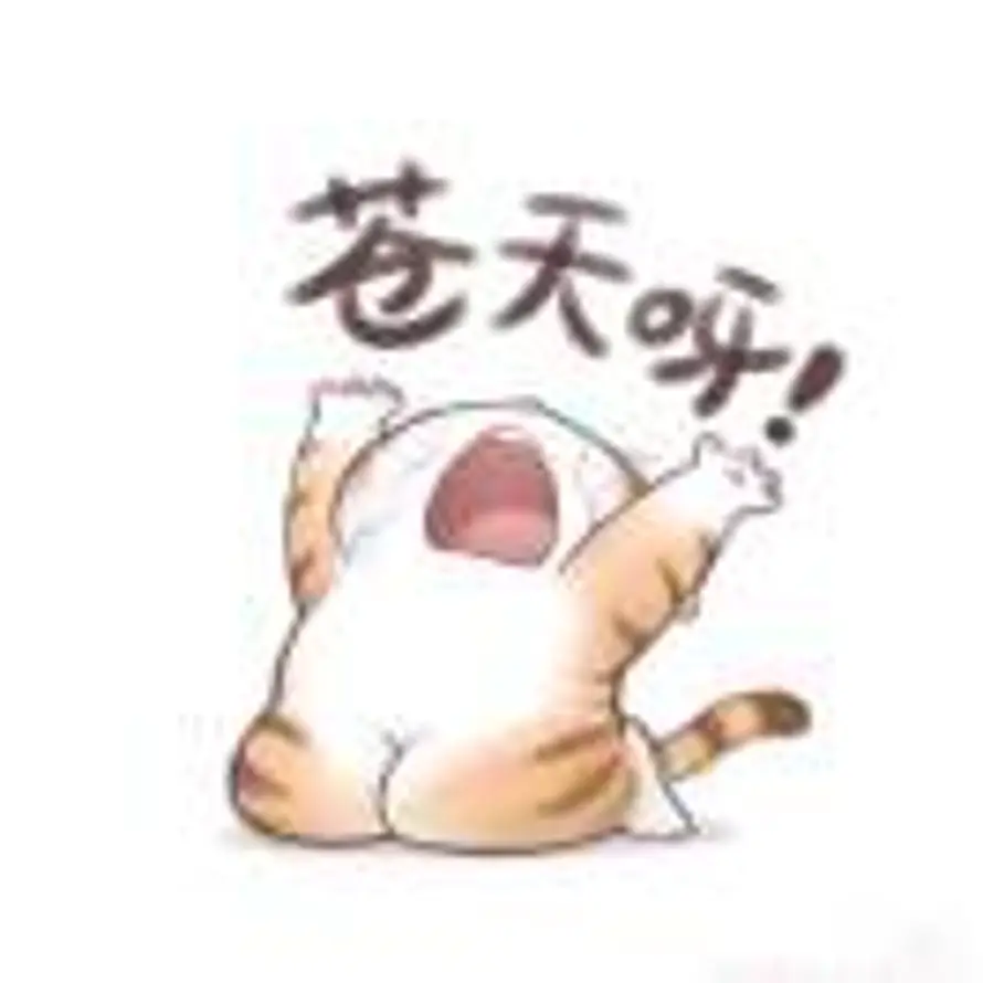 ᯤ⁶ᴳ⁺的头像