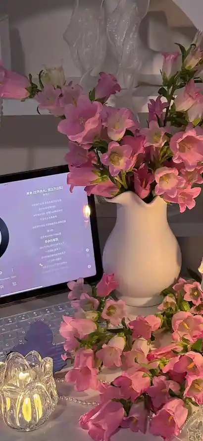 4k桌面壁纸 - 花 - 灯光 - 粉色「哲风壁纸」