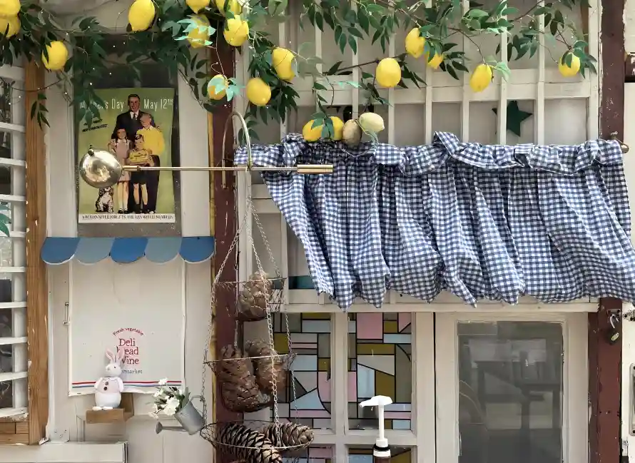 4k帘子壁纸 - 房屋 - 小摆件 - 柠檬树「哲风壁纸」 4k帘子壁纸 - 房屋 - 小摆件 - 柠檬树「哲风壁纸」