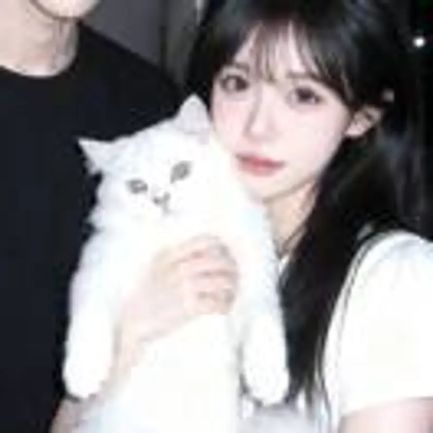 糖糕烤熟了.的头像