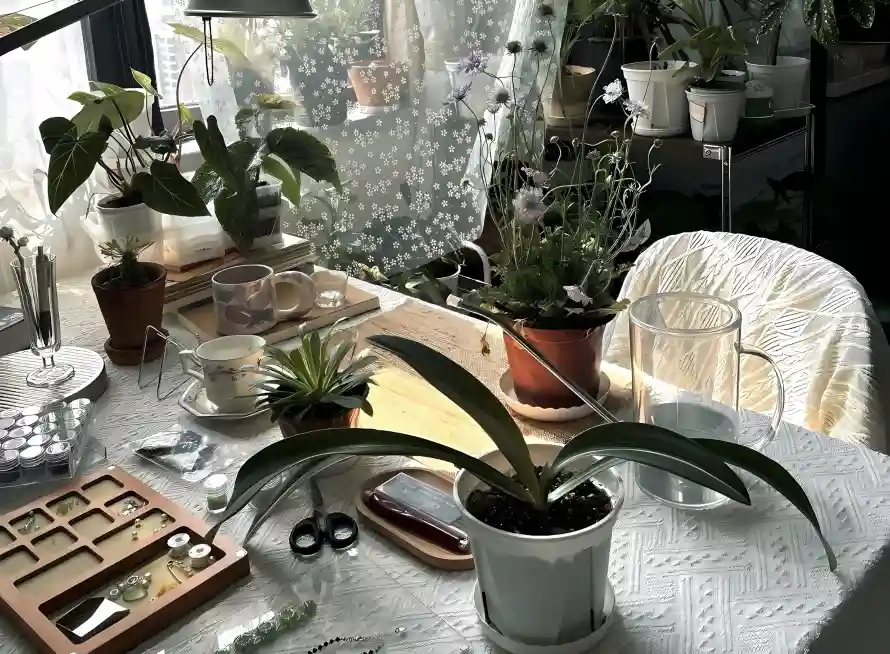 2k剪刀壁纸-绿植壁纸和椅子-壁纸分享「哲风壁纸」