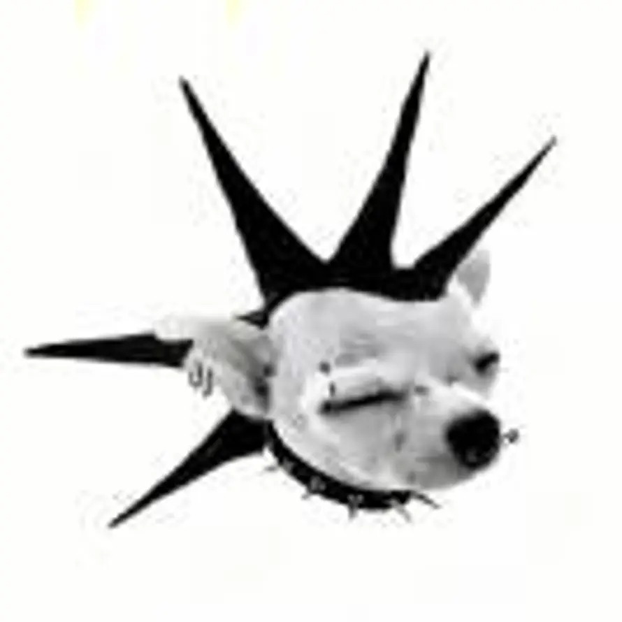 4399电竞职业选手的头像