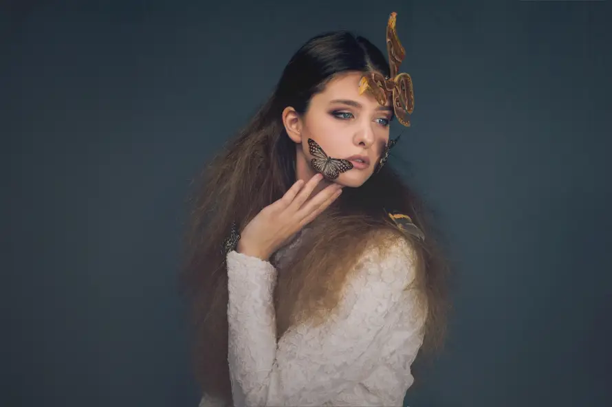 3k优雅壁纸-深色背景和国外-蝴蝶装饰壁纸分享「哲风壁纸」