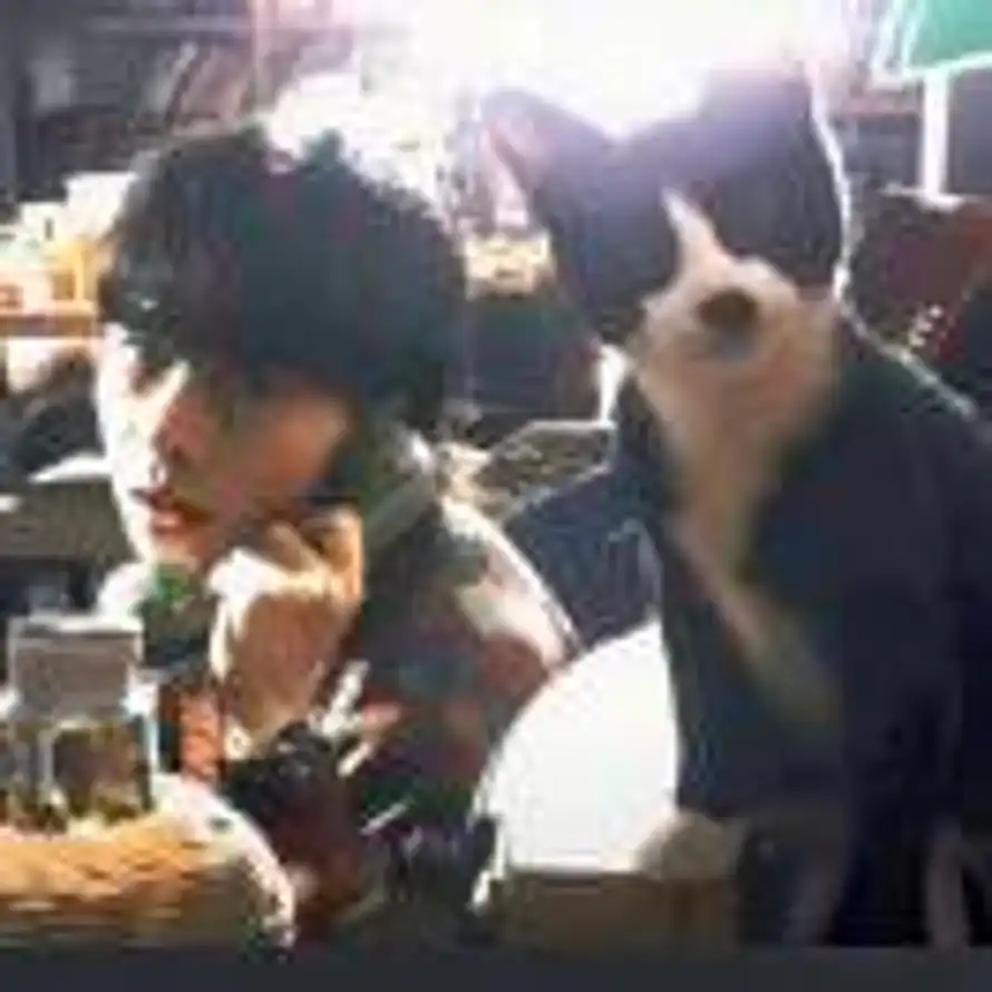 墨柒ᵏᵃᵈᵉʸ🦔的头像