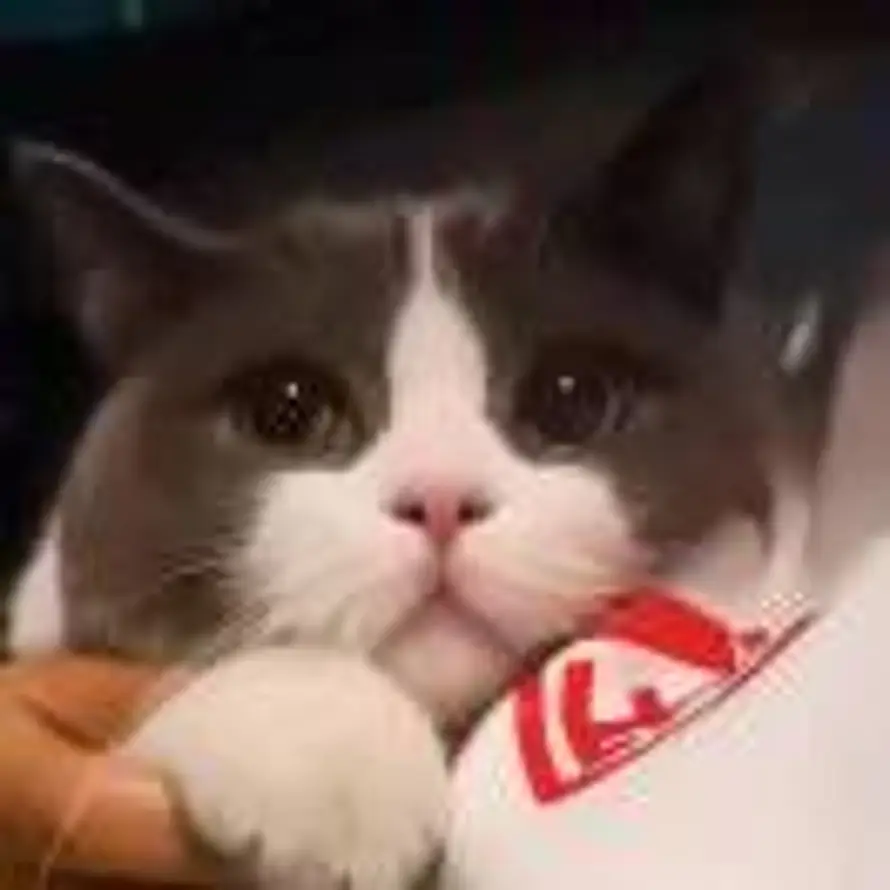 不瘦20斤不改名🤐的头像