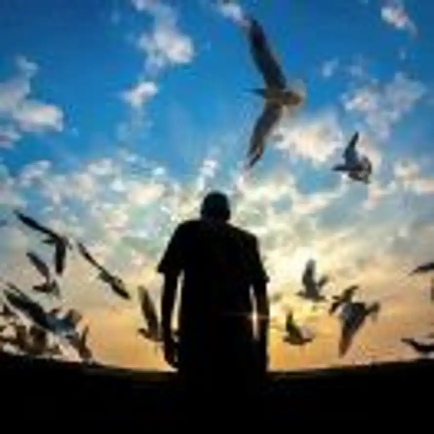 年少有俊的头像