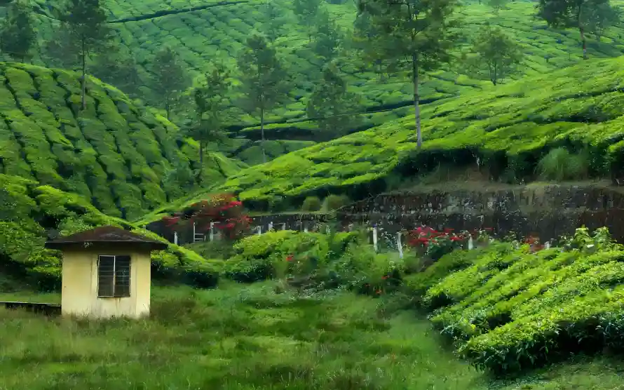 4k小屋壁纸 - 山坡 - 房子 - 绿树「哲风壁纸」 4k小屋壁纸 - 山坡 - 房子 - 绿树「哲风壁纸」
