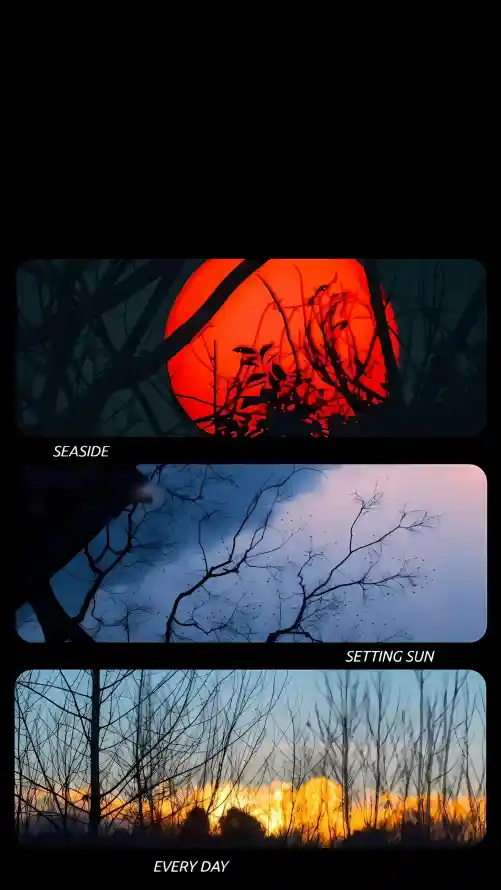 4k剪影壁纸 - 夜空 - 日落 - 晚霞「哲风壁纸」