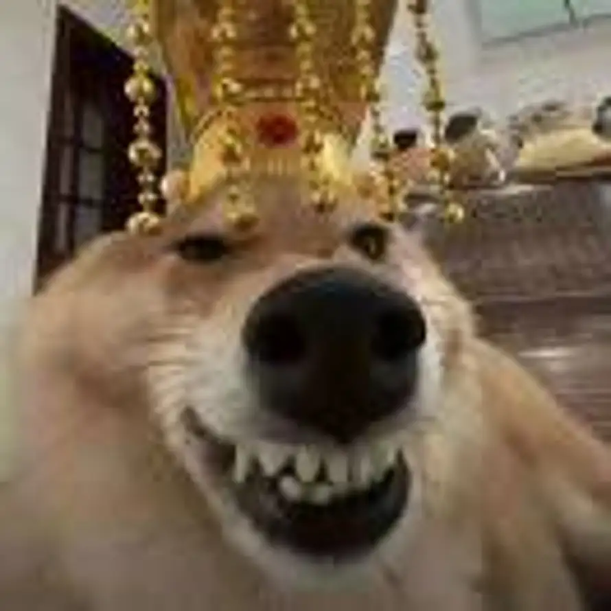 永乐大帝的头像