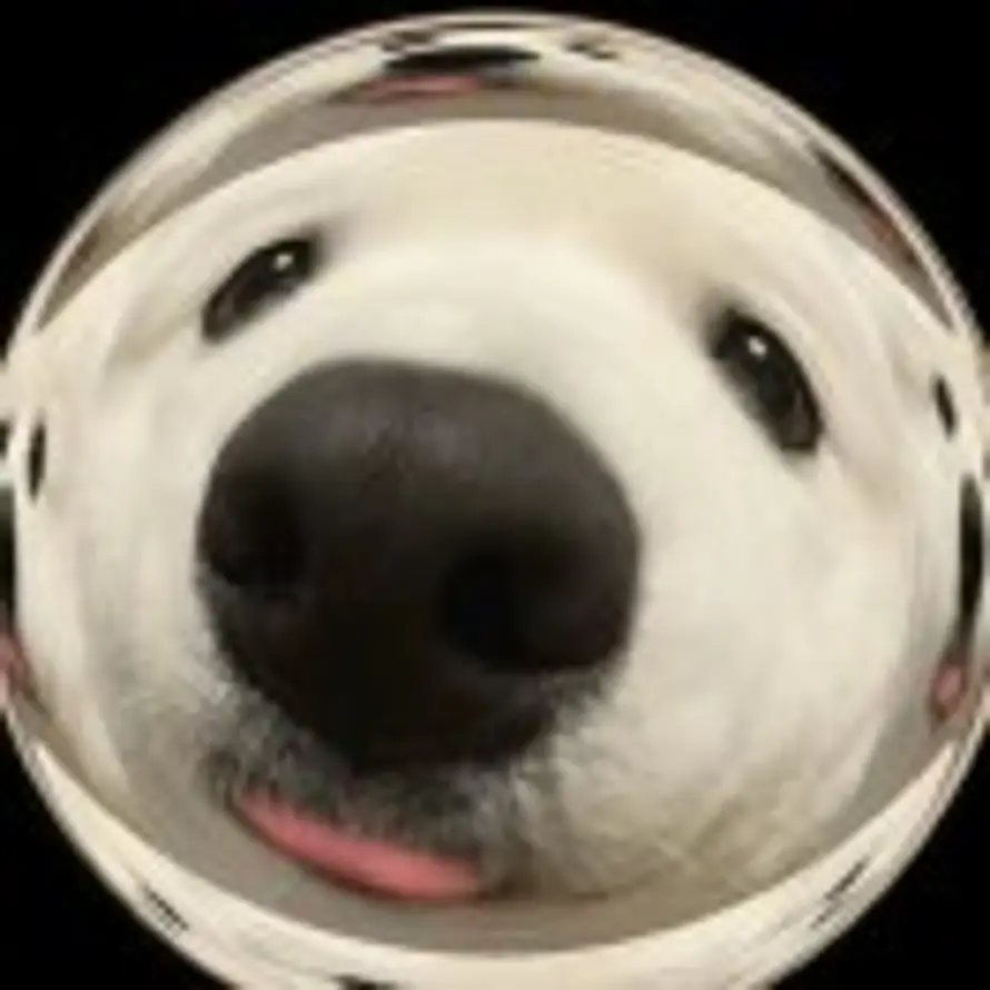 我是谁？？？的头像