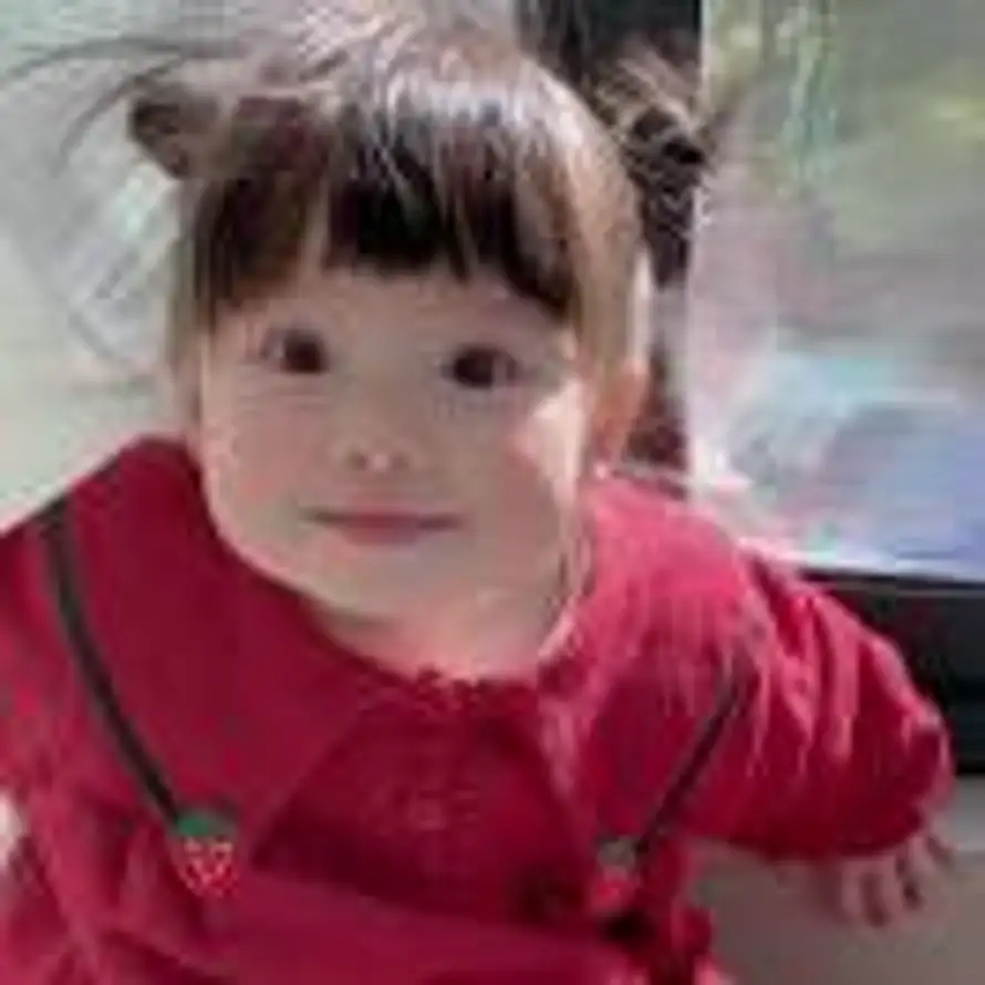 Lavender  Haze的头像