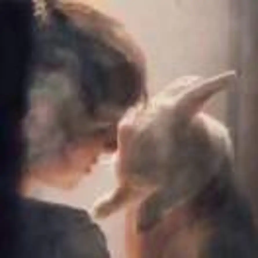 春来行宇的头像