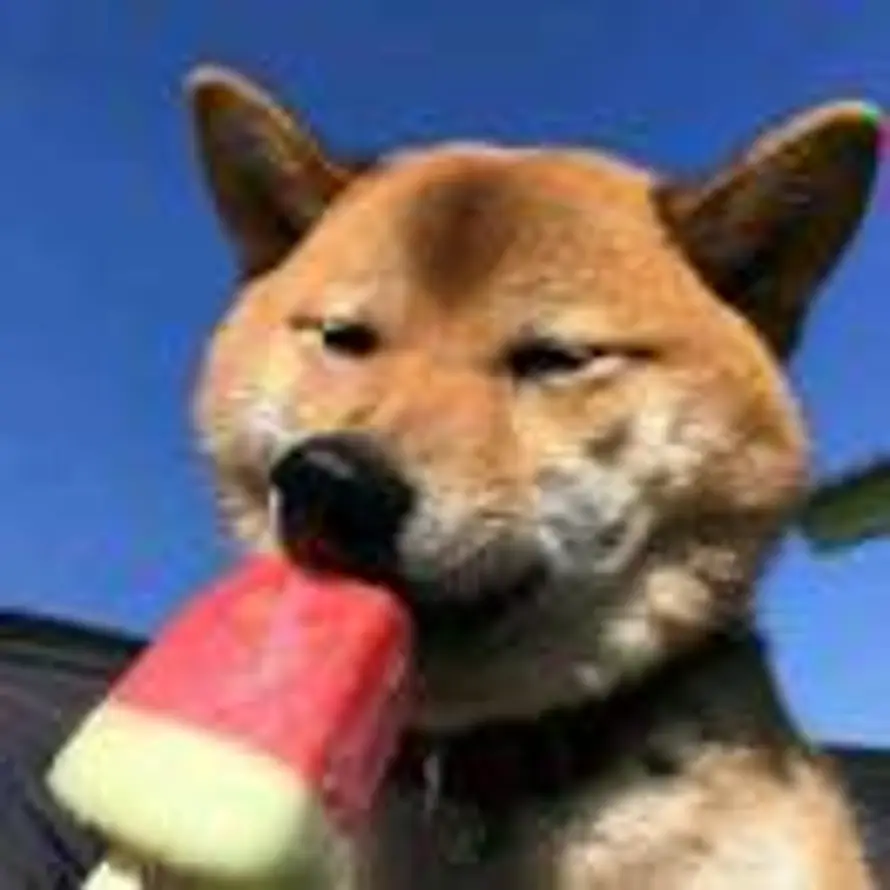 figjuickfhof的头像