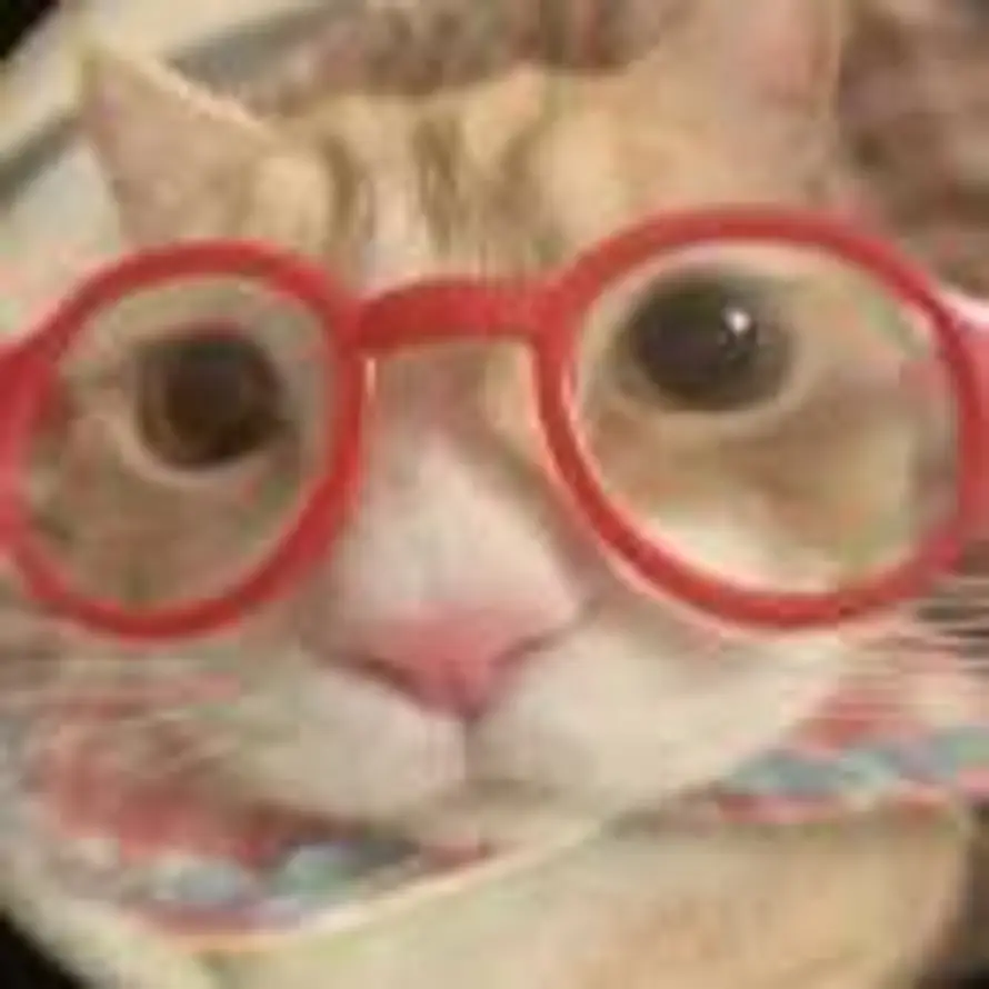 永捷同鑫的头像