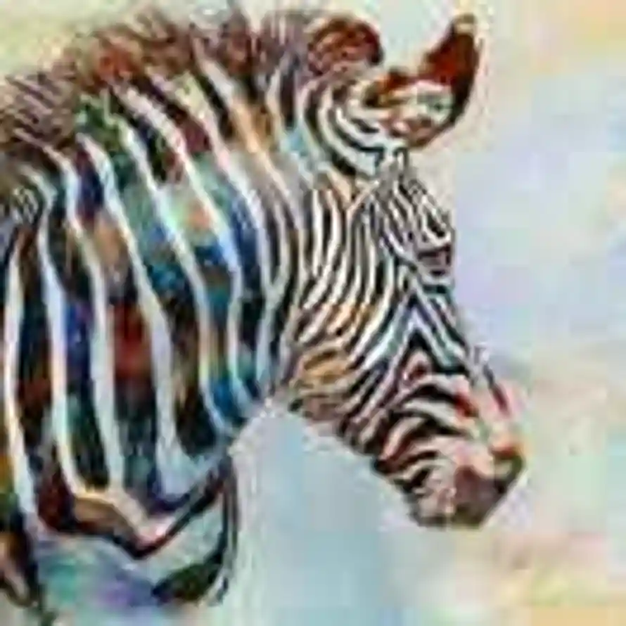 二十二画生的头像