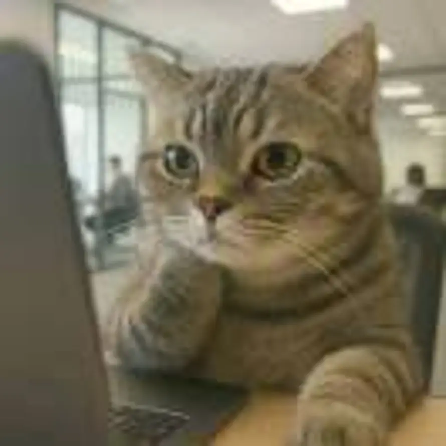 葡萄果冻的头像