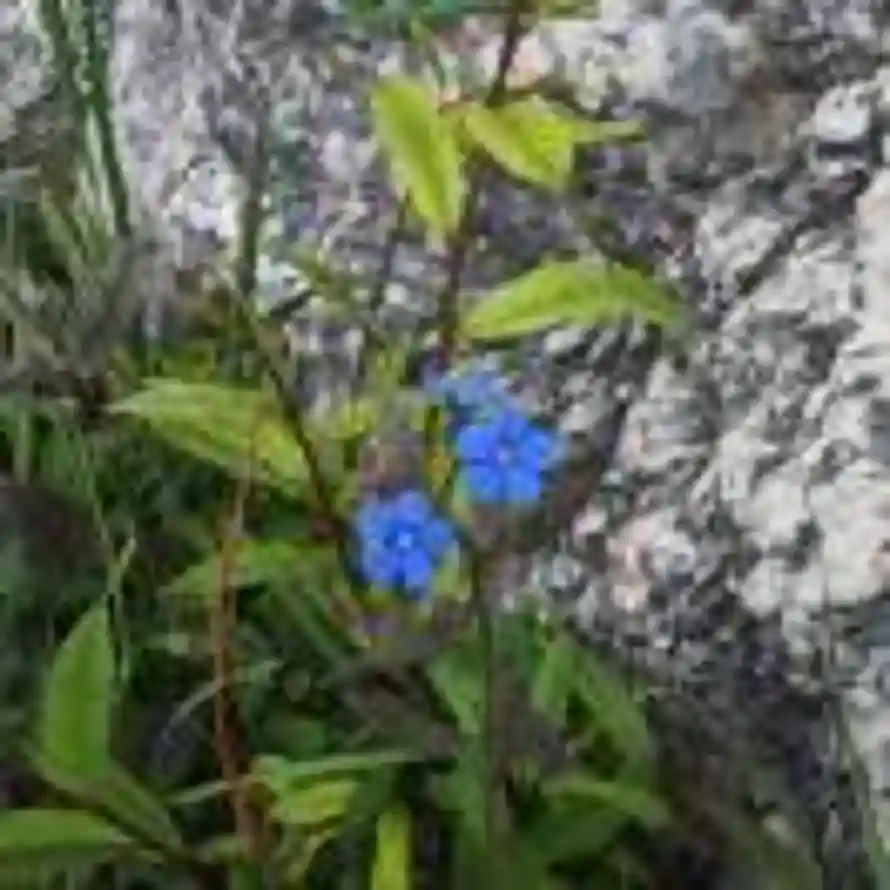 ㅤㅤㅤㅤㅤㅤ的头像