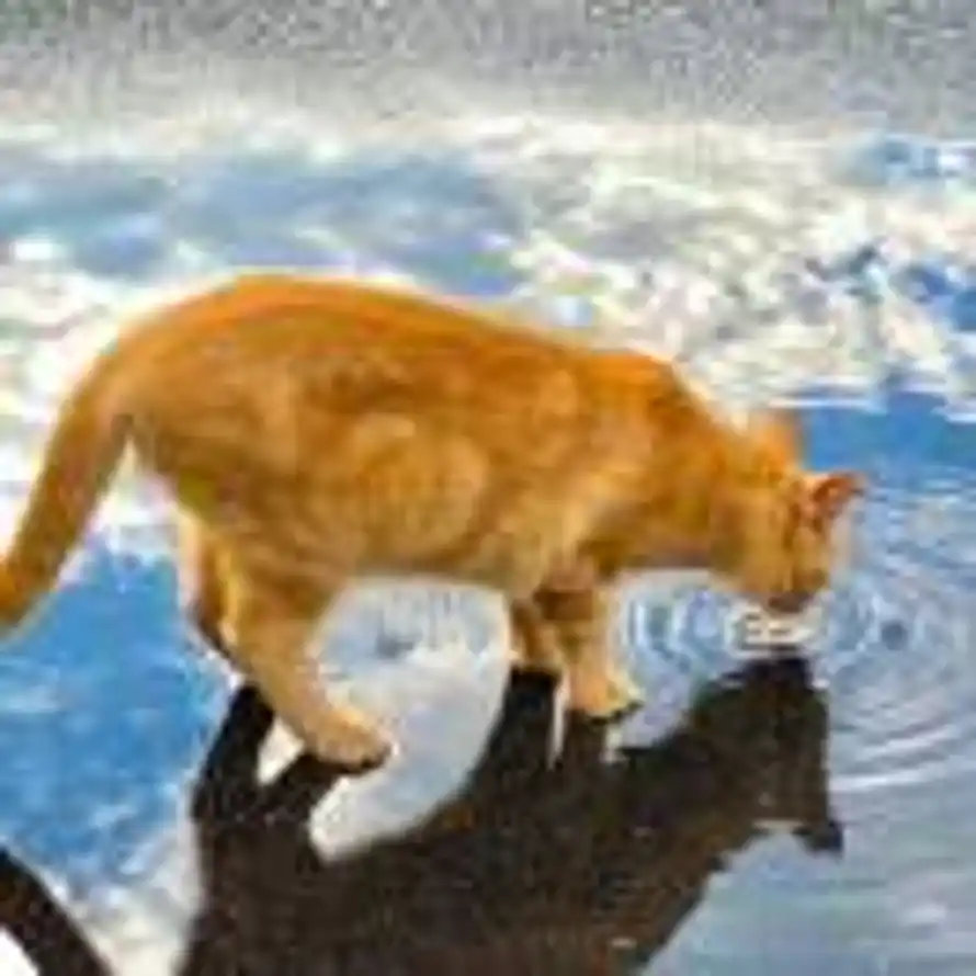 【Eternity】的头像