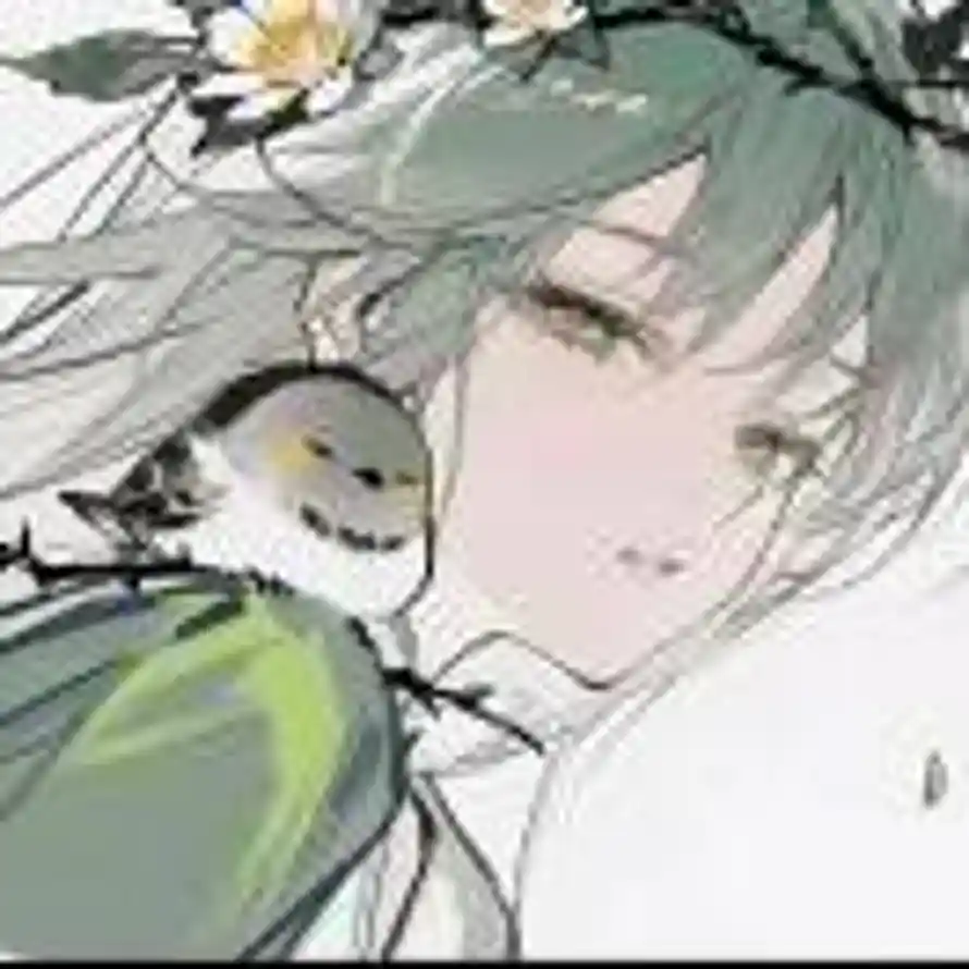 淸的头像