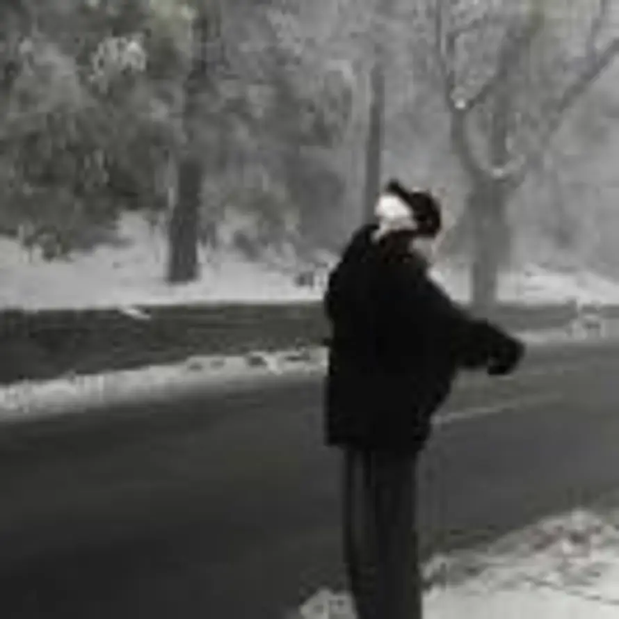 雨林木风的头像