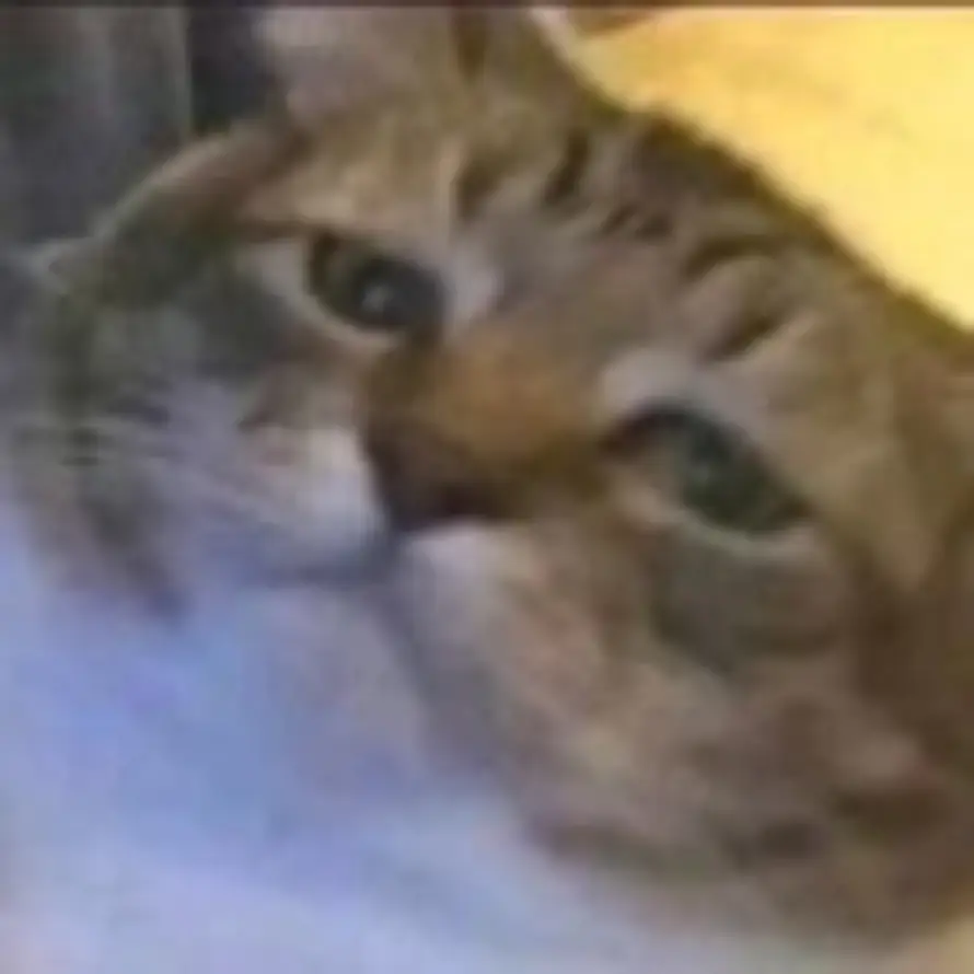 宁静致远的头像