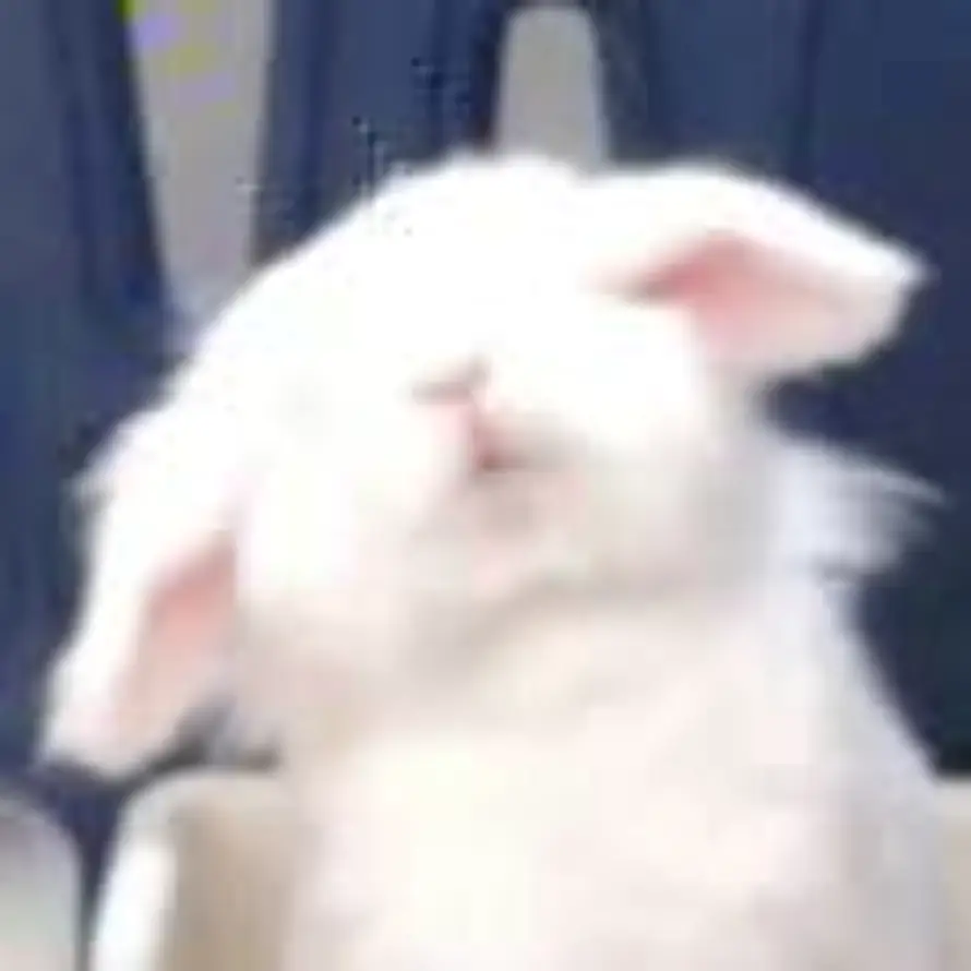 以摧枯拉朽之势荡平所有磨难的头像