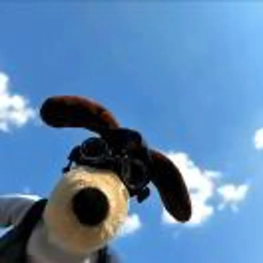 不及阁大学士的头像