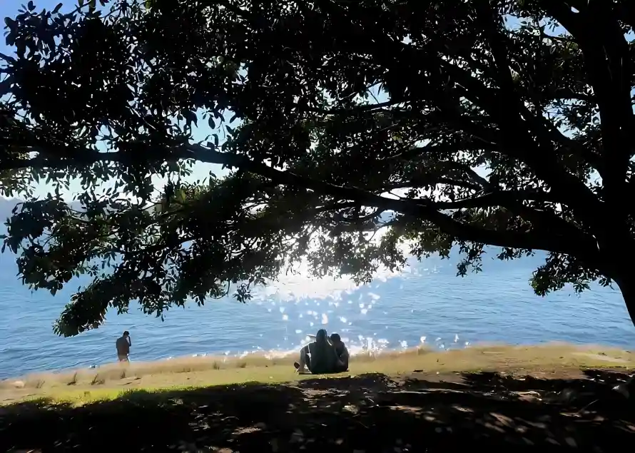 4k草地壁纸 - 湖边 - 热门壁纸 - wallpaper「哲风壁纸」