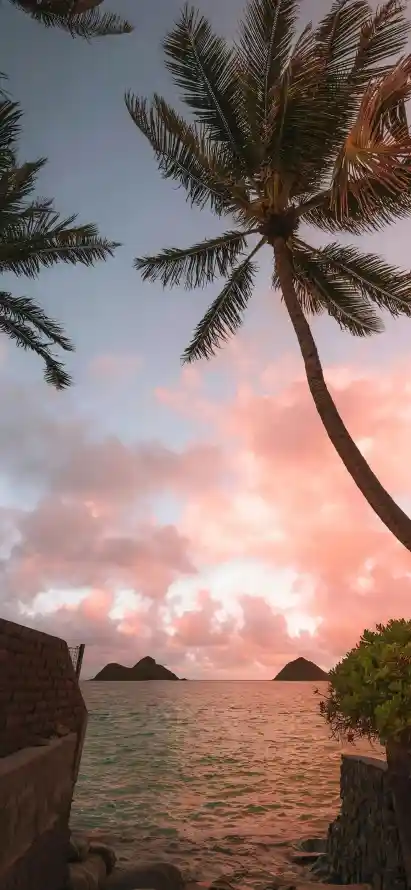 4k晚霞壁纸 - 海边 - 海洋 - 简约「哲风壁纸」