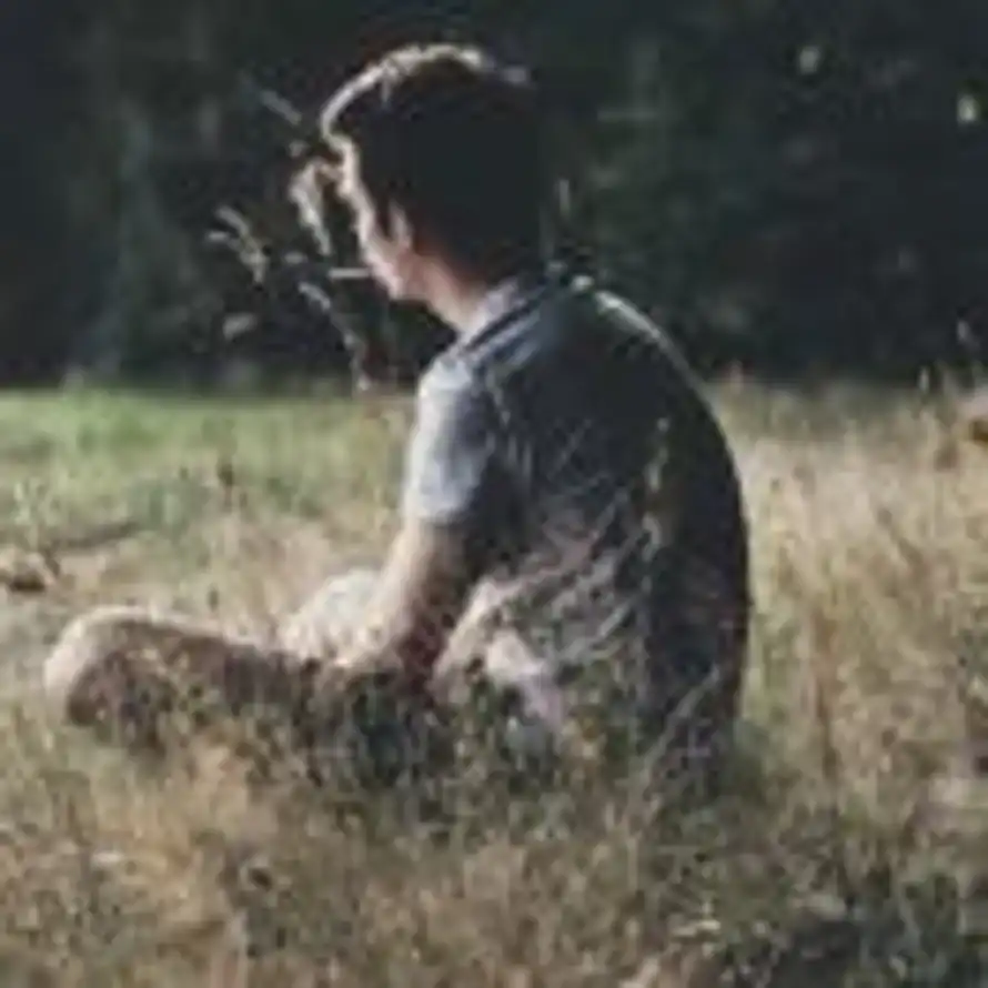 用户老金的头像