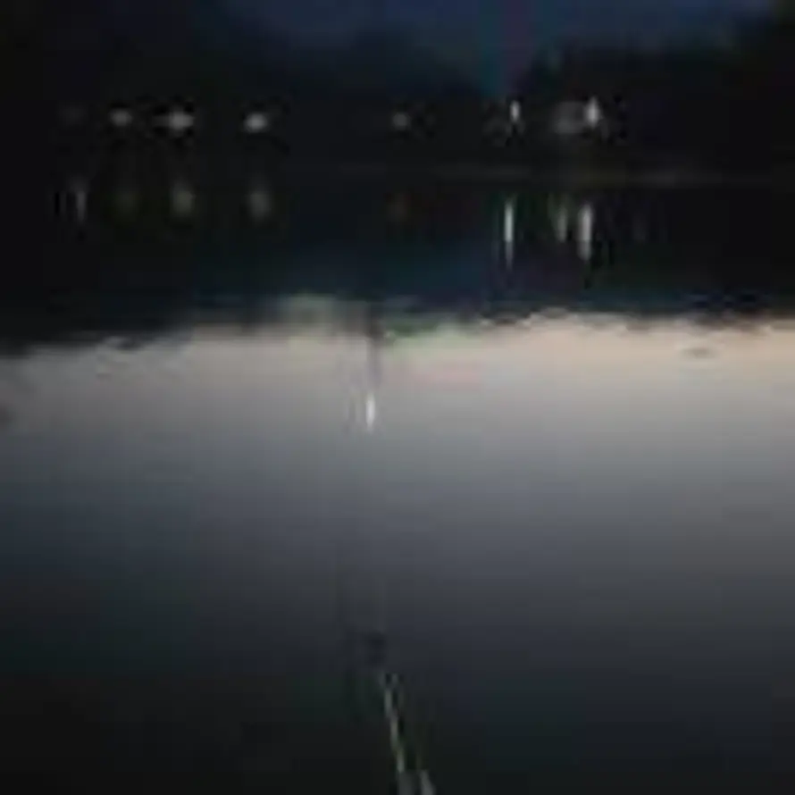 我不再是我，你呢？！的头像