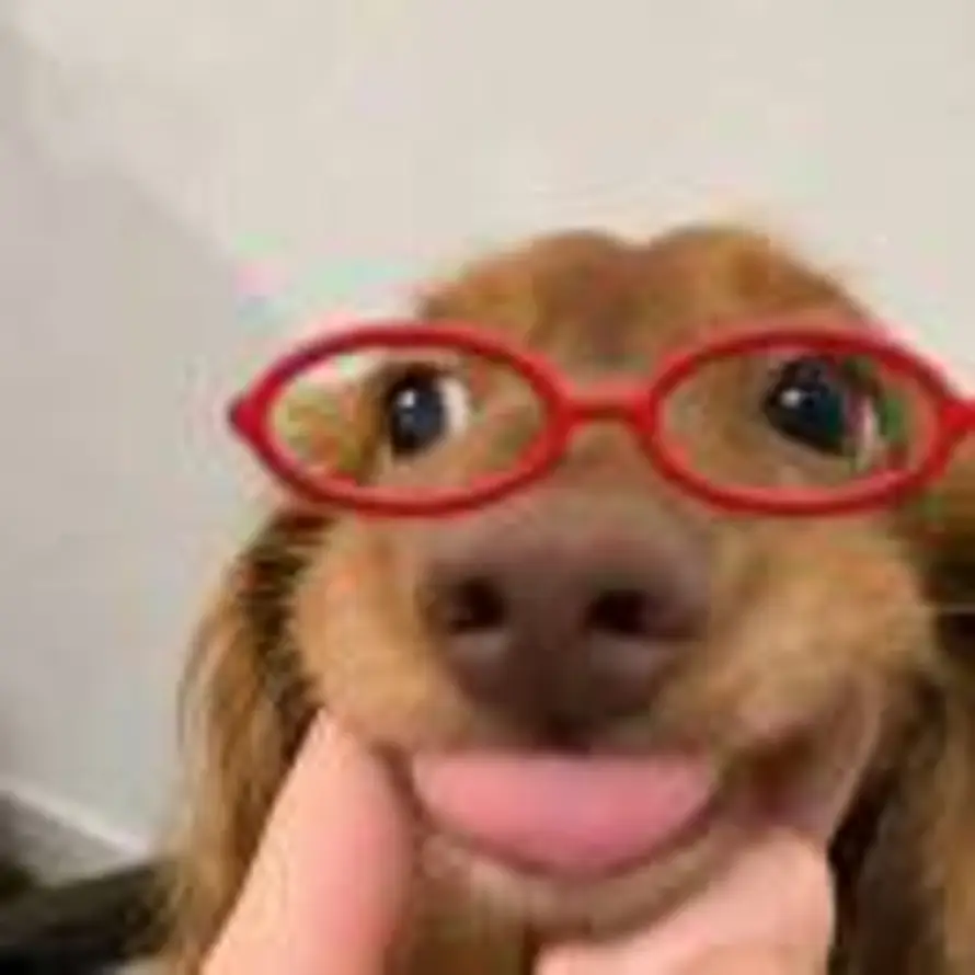 好运蛋挞的头像