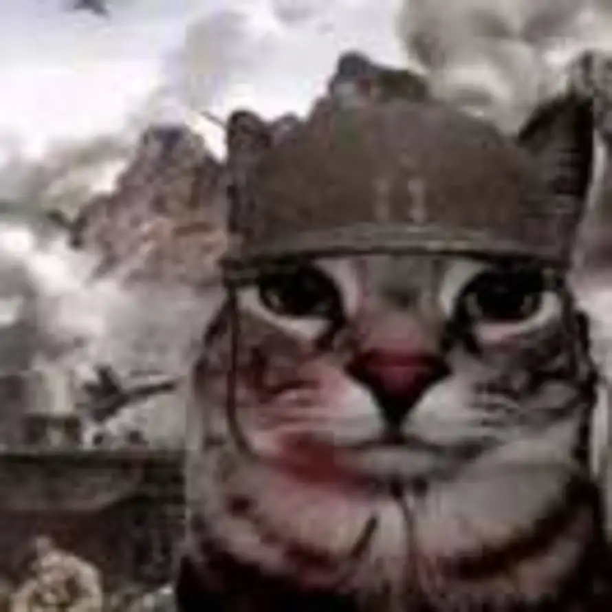 CㅤAㅤPㅤTAIN的头像