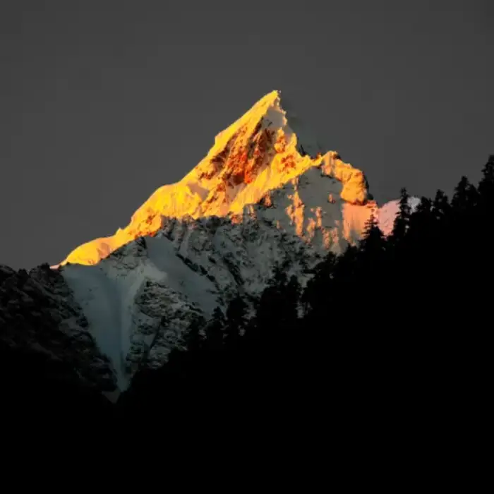 用户Liam.的头像