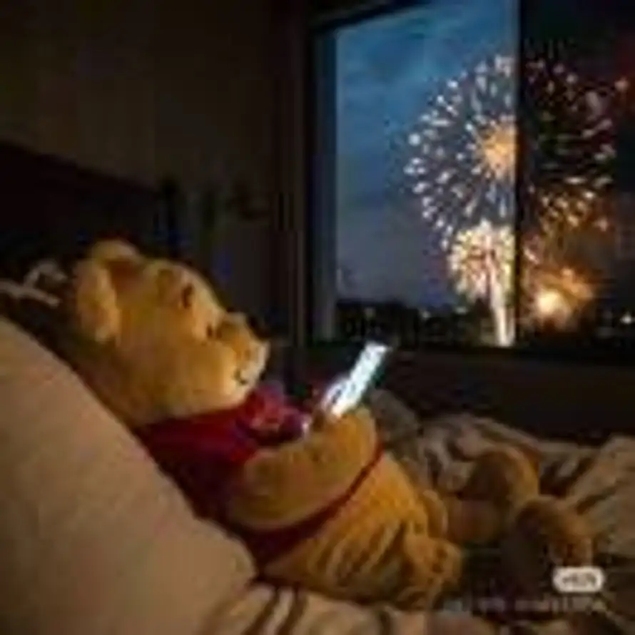 鑫鑫海锋的头像