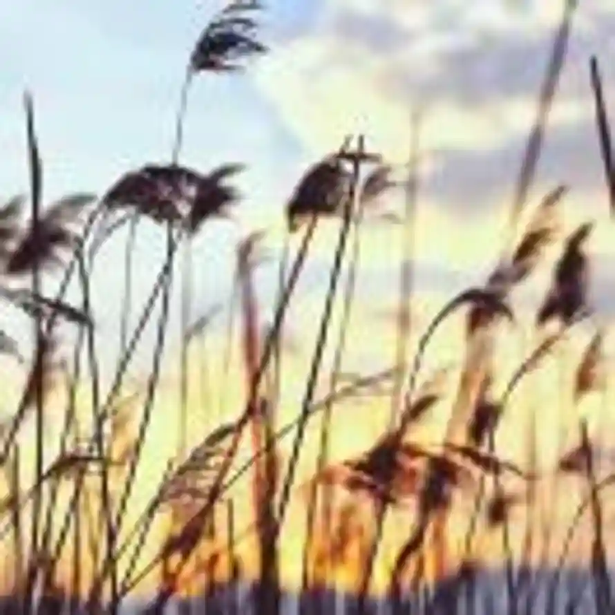 阳光不锈的头像