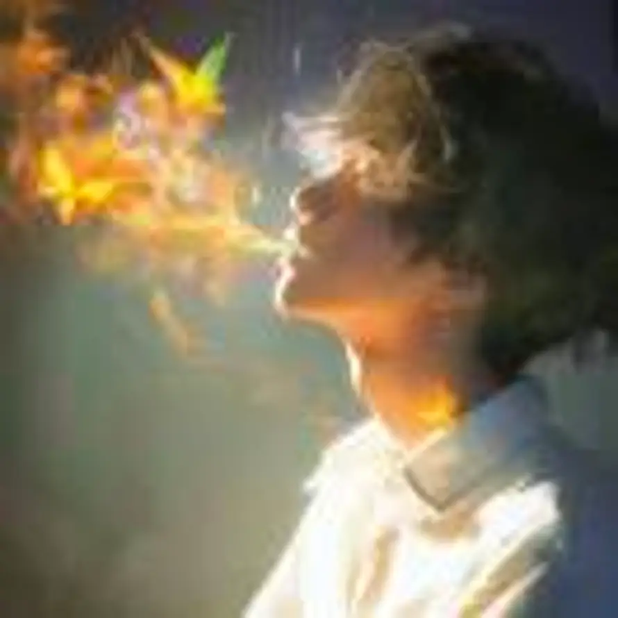 在逃叮当猫的头像