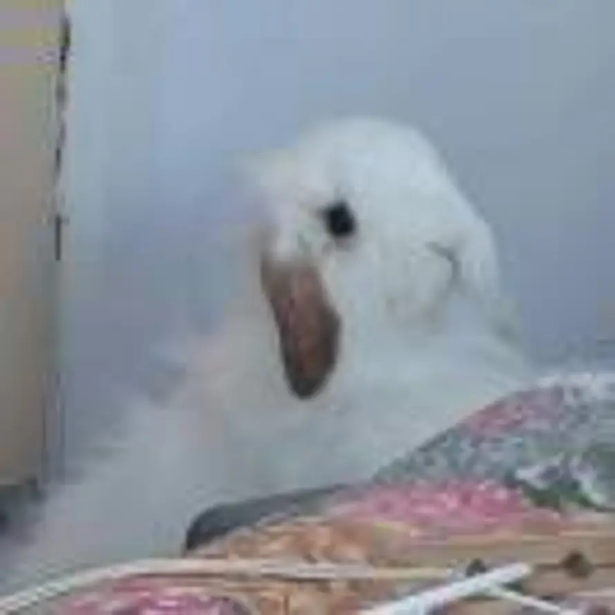 🚞🚃🚃🚃💨的头像