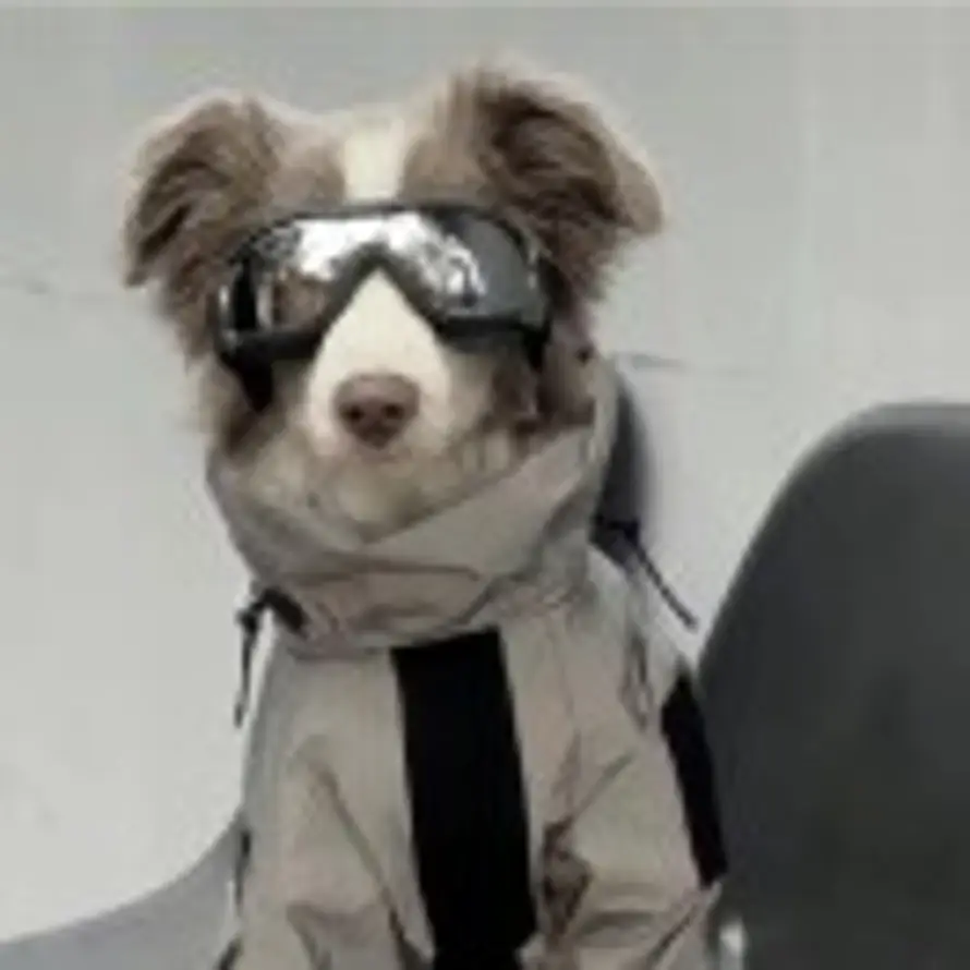 快看镜头的头像