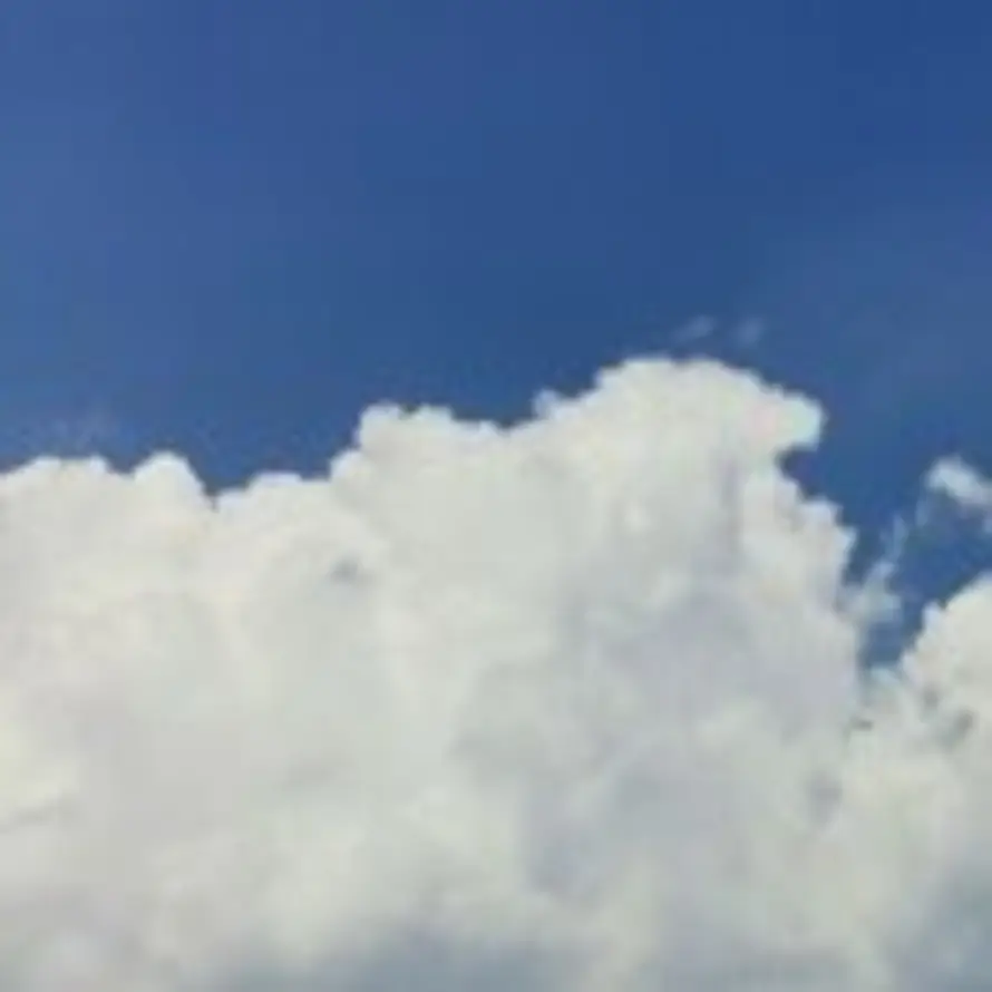 Mugui Saku'e的头像