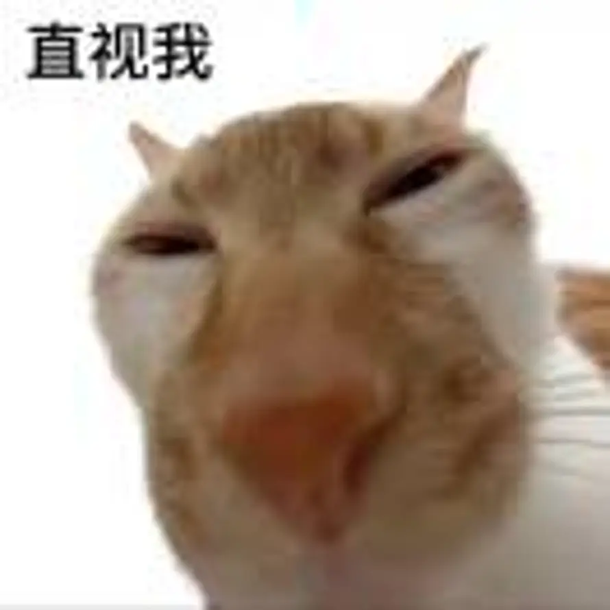 扶老奶奶闯红灯🚥的头像