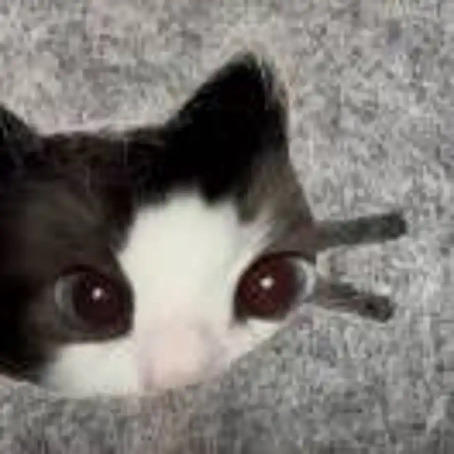 用户阿炳的头像