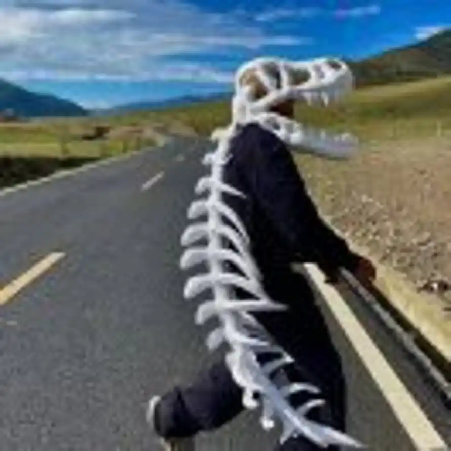 差不多得了😄的头像