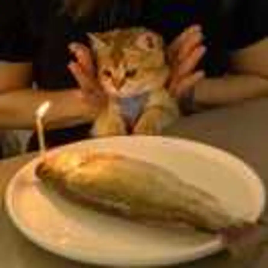 RUFFIAN💕的头像