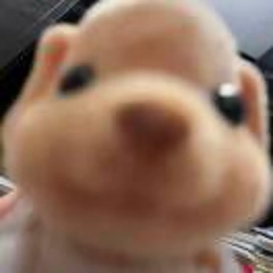 打起精神来！的头像