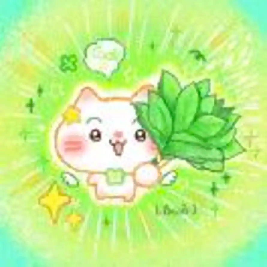 天之饺子🥟的头像