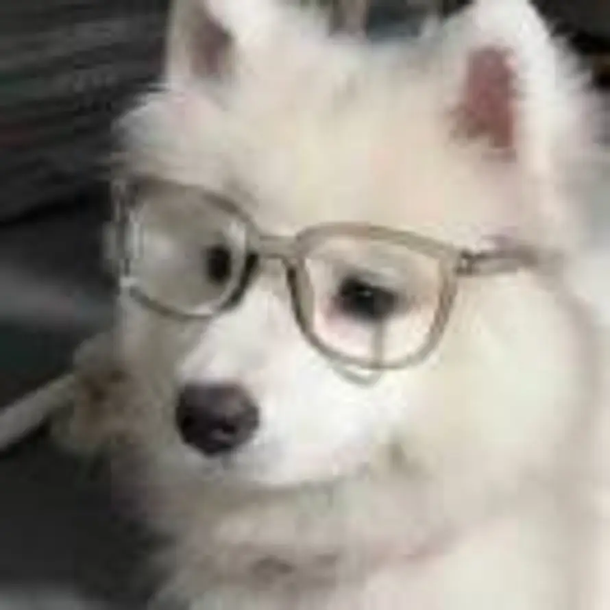 修修不休๑的头像