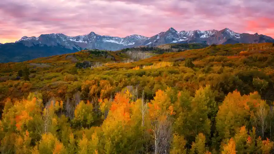 4k山峰壁纸 - 山脉 - 晚霞 - 树林「哲风壁纸」